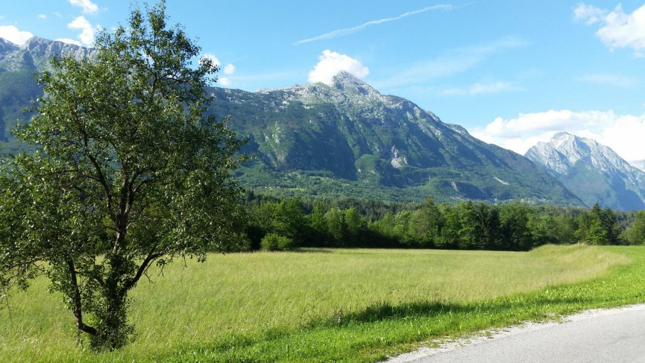 Apartmaji Stari Kovac Bovec Eksteriør billede